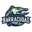 Beachside Barracudas